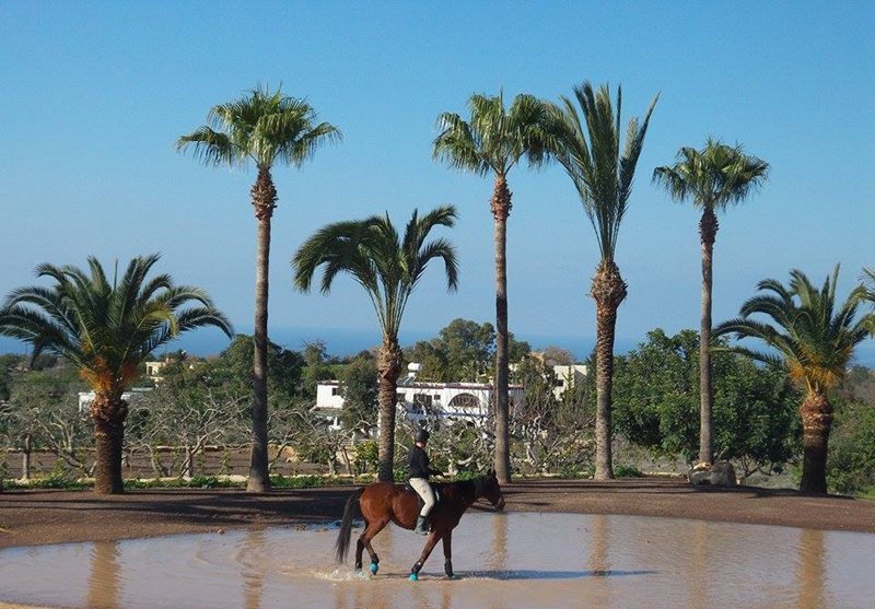 Horse-Riding