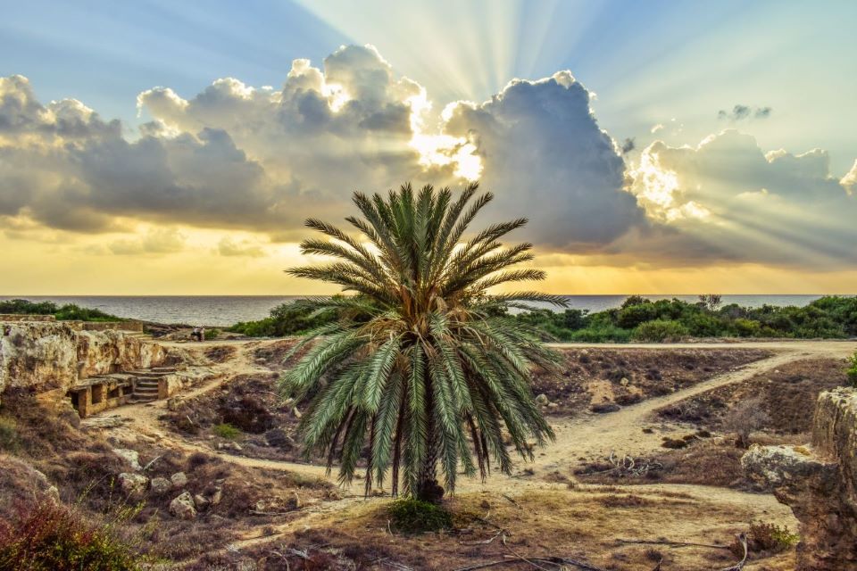 Archaeological site, Paphos