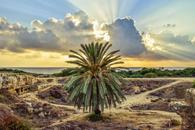 Thumbnail for Ultimate Things to do in Paphos During Spring