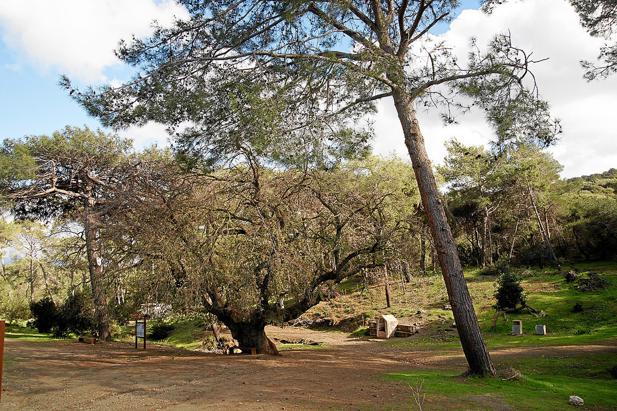 Aphrodite Trail