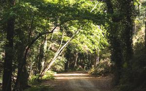 Thumbnail for Explore the Scenic Hiking Trails in Paphos