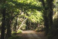 Thumbnail for Explore the Scenic Hiking Trails in Paphos